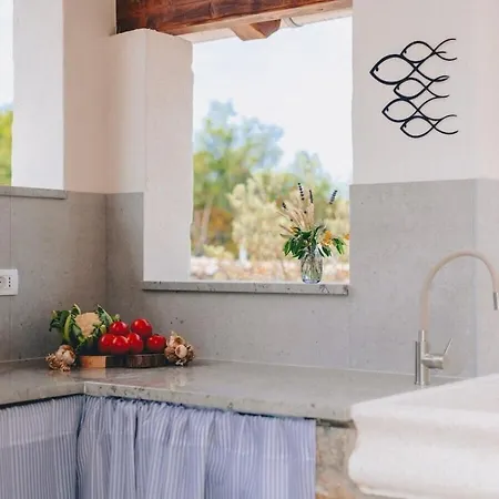 In With Swimming Pool 펜션